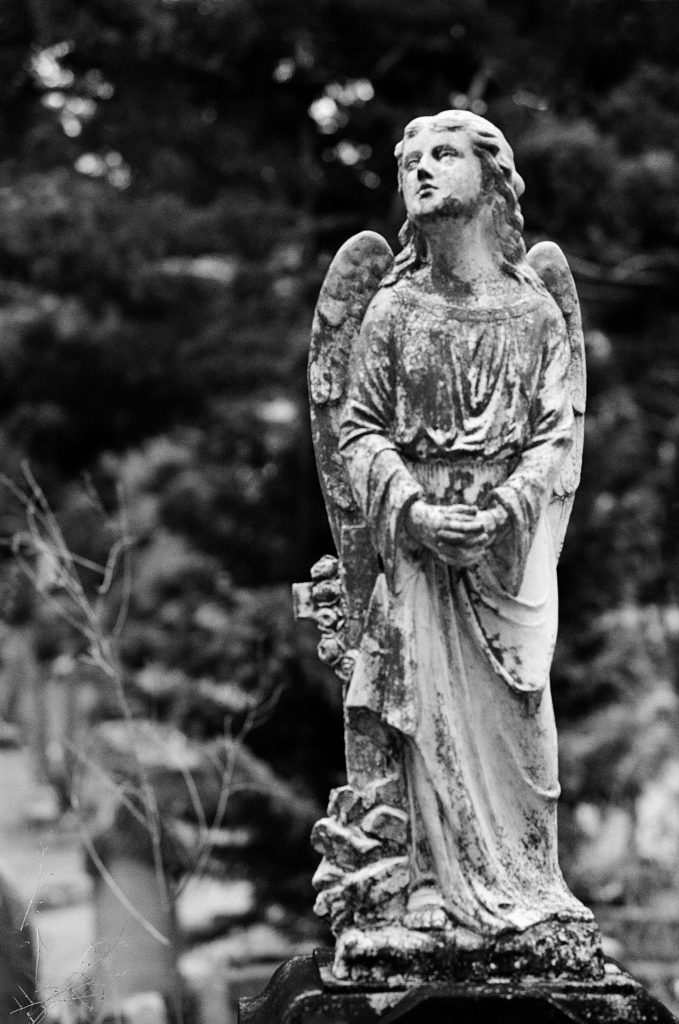 Toowong Cemetery - Sean Smith Film Photography