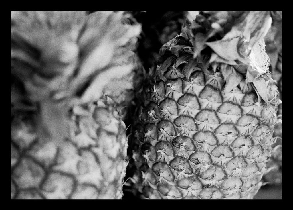 Pineapples - Sean Smith Film Photography