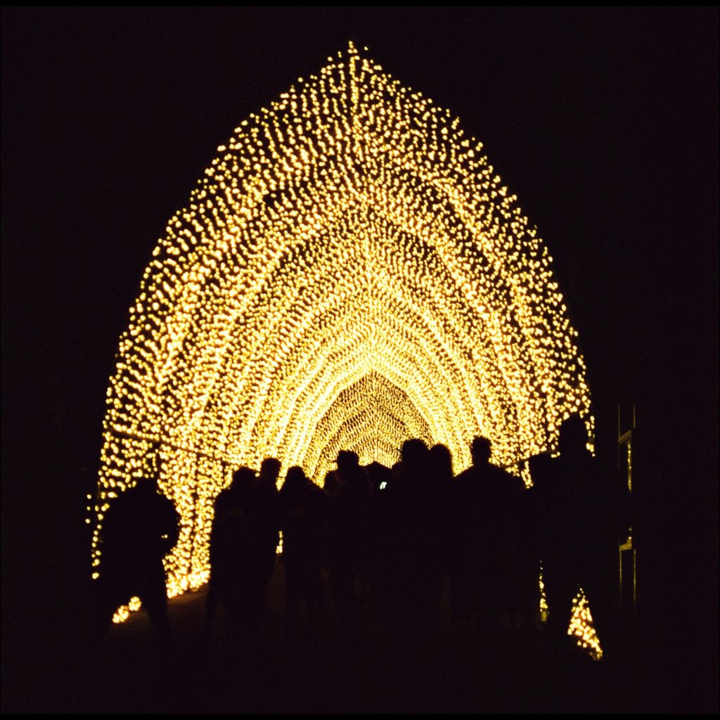 Brisbane Lightscape taken with Rolleiflex 2.8e and Harman Phoenix 200 medium format film