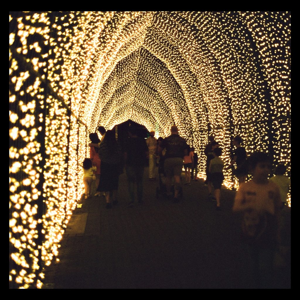 Brisbane Lightscape taken with Rolleiflex 2.8e and Harman Phoenix 200 medium format film